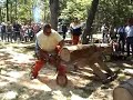 Homelite 2100 hotsaw chainsaw race Homelite 2100 hotsaw chainsaw race