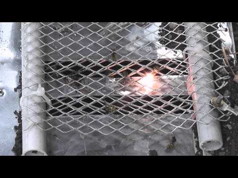 how to get rid of a wasp nest nz