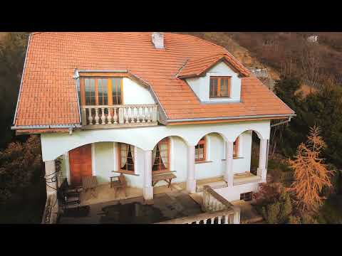 Video Prodej prostorné vily – Viničné Šumice, jedinečné soukromí a velký pozemek 5 193 m²