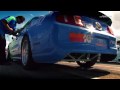 Team Falken Rolls Dice in Vegas