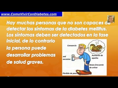 fisiopatologia de la diabetes mellitus - Videos | Videos fisiopatologia de la diabetes mellitus - Videos | Videos