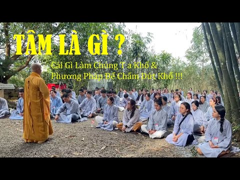 Tinh Hoa NIKAYA - Tâm Là Gì ?