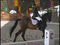 ARIADNA  NAV�S