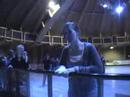 Salisbury Sarum Scout Network Go Ice Skating!