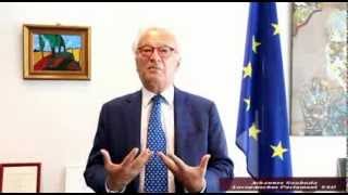 Johannes Swoboda - European Parliament - S&D Fraktion