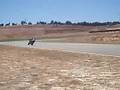 karting campillos gilera dna madmin 1