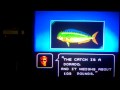 i basically ramble on and dont look to much into the fishing options like lures and such. still : a look at the blue marlin , possibly one of the best and most detailed fishing games for the nes , other wise know as fishers' to the people caught up in genre ;)