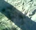 Laag @ Willem Laag @ Willem