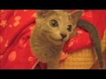 YouTubeサムネイル[TEWroYy4QbY] - 2枚目