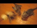 YouTubeサムネイル[TEWroYy4QbY] - 3枚目