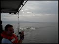 chased by hippos