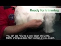 [How to wash dog - West Highland Terrier]