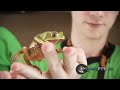 Snake Bytes TV - 