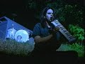 the wannadies - someone somewhere