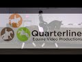 Click here to watch this video 1996 KWPN Gelding - Grand Prix School Master****NEW VIDEO 5/17/12*****