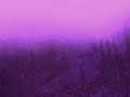Reminisce (fragment of video artwork by Linda Hoen) Reminisce (fragment of video artwork by Linda Hoen)