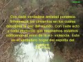 CONTEMPLACION