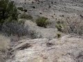 Windy!
