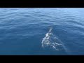 Sailing Adventures Aboard \