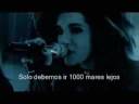 1000 meere español 1000 meere español