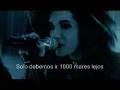 videos de 1000 meere español