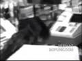 videos de Bullet shoots through a girls hair from point blanc range