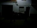 salto, intento fallido salto, intento fallido