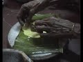 pattu-mami-makes-poli.html