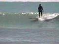 Gulf Surfing-SW Florida