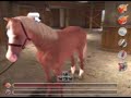 TIME TO RIDE SADDLES & STABLES TIME TO RIDE SADDLES & STABLES
