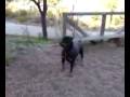 videos de Leti in action
