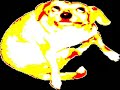 Click here to watch this video DOG