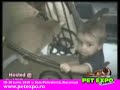 Cei mai amuzanti caini si pisici!!!