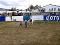Lazando en el jaripeo