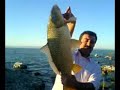 Carp Fishing BIG CARPS! bey?ehir konya sazan av beysehir