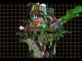 The Faint - The Geeks Were Right