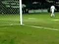 South Melbourne FC Fan Falls Over Fence