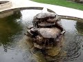 Water Feature Pond surrounded by Limestone Paving Water Feature Pond surrounded by Limestone Paving