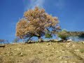 Aritzo: Le Sue Montagne