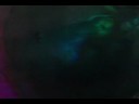 Embryonic disc.MOV