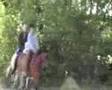 videos de Lits+Lauwers010 Mâlewei09