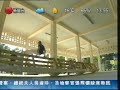 ??parkour(???)??