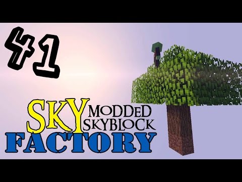 SKYFACTORY E41 Time Torch, Trophy Room 2 e Sacred Rubber Tree