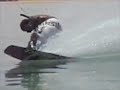 Hurghada Wakeboarding - ProCenter Tommy Friedl - Mahsoub Hurghada Wakeboarding - ProCenter Tommy Friedl - Mahsoub