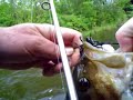 Fishing around Malone NY