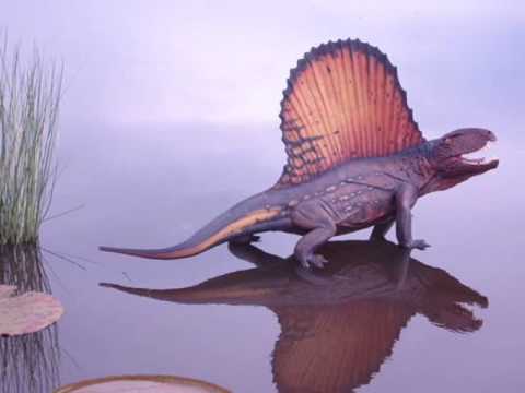 Tribute to Dimetrodon