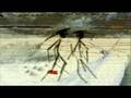 Radiohead - Fighting Men