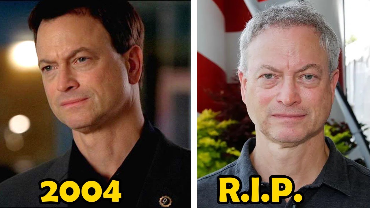 CSI: NY (2004) Cast – Then and Now 2024 (How They Changed) – Curious World