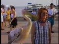 Jaws of Death ,Snakes Yawn ,animals miss behave