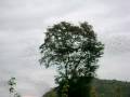 MOV00741